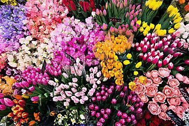 『三国志 霸道』新赛季「群星激斗」开幕！全新LR武将「魏延」「管夷吾」6月更新登场